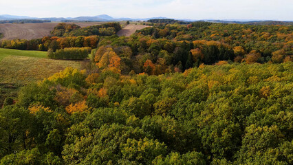 Obraz premium autumn landscape view from above hill forest