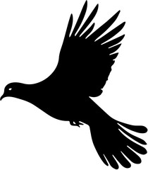 silhouette of a pigeon 