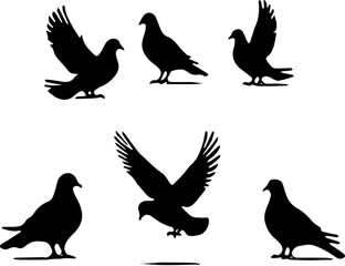 Obraz premium pigeon silhouettes vector