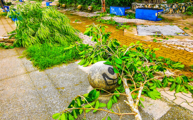 Hurricane 2024 Playa del Carmen Mexico destruction devastation broken trees.
