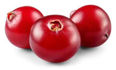 Cranberry isolated png. Cranberries on white or transparent background.. Three cranberry berries with transparent shadow no background. Perfect retouched image. Full depth of field.