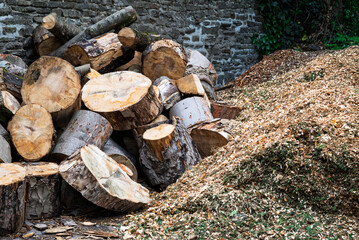 A pile of freshly cut logs sits next to a mound of wood chips, likely the result of recent . The...