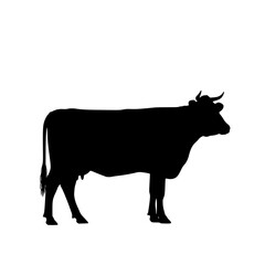Silhouette of a Bovine Animal with Curved Horns Standing Proudly