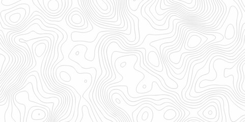 Abstract topography pattern seamless lines sea map modern design white background. Abstract digital topographic contour map concept space geometric strip grid line. Natural discovery of maps.