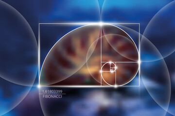 Fibonacci number sequence. Golden ratio. Geometric shapes spiral. Snail spiral. Nautilus Seashell. Sacred geometry template. Logarithmic sequences. Vector Blurred blue sea bottom background
