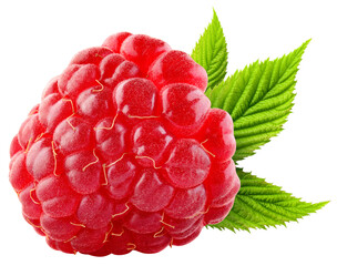 Raspberry isolated png. Raspberry with leaf on transparent background. Whole raspberry no background with leaves. Transparent png. Full depth of field.