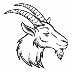 black and white goat