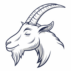 goat vector illustration