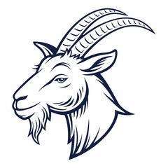 goat vector illustration