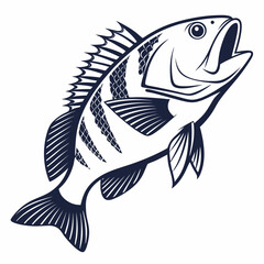 fish vector illustration