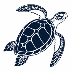turtle vector illustration