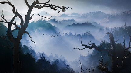 Top view forest in fog at beautiful sunset, 3D illustration