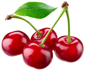Cherry isolated png. Sour cherry with leaf on white or transparent background. Perfect retouched four cherries with leaves no background. Png cherry. Full depth of field.