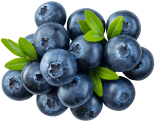 Blueberry isolated png. Blueberry heap with leaves on white or transparent background. Perfect retouched blueberry no background. Png blueberries top view composition. Full depth of field.