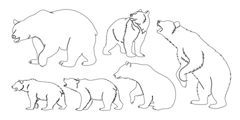 vector illustration of a bear in different poses
