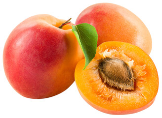 Apricot png. Apricots with a half an leaf isolated on transparent background. Apricot with kernel no background. Transparent png.