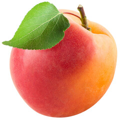 Apricot isolated png. Apricot with leaf on white or transparent background. Fresh apricot no background. Full depth of field. Transparent png.