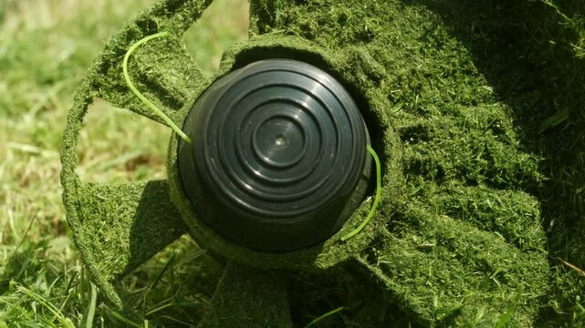 Close-up of trimmer lying on trimmed lawn with grass debris, representing the end of gardening task.