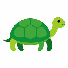 Obraz premium turtle