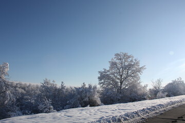 winter landscape with snow
