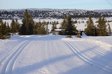 Winter landscape with a cross-country skiing trail leading toward a traditional Scandinavian house surrounded by trees, Hafjell area, Norway
