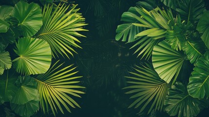 Tropical aquatic plants in a still pond, rich green tones with soft reflection and botanical symmetry