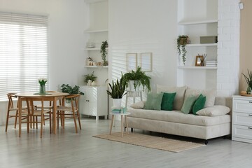 Comfortable sofa, table, chairs and green houseplants indoors. Interior design