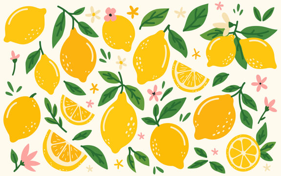 Set of different lemons. Hand drawn lemons in doodle style. Cut, lemon slices, whole, lemon flowers and leaves. Vegetarian healthy food and vitamin C.