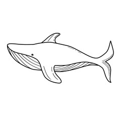 Blue whale, hand drawn vector illustration. Sketch style cartoon ocean whale
