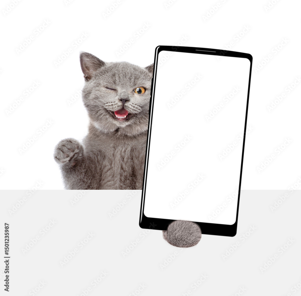 Aufkleber Winking cat holding big smartphone with white blank screen and looking above blank banner. Empty free space for mock up. Isolated on white background