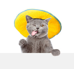 Funny winking cat wearing summer hat looks above blank white board and waving his paw. isolated on...