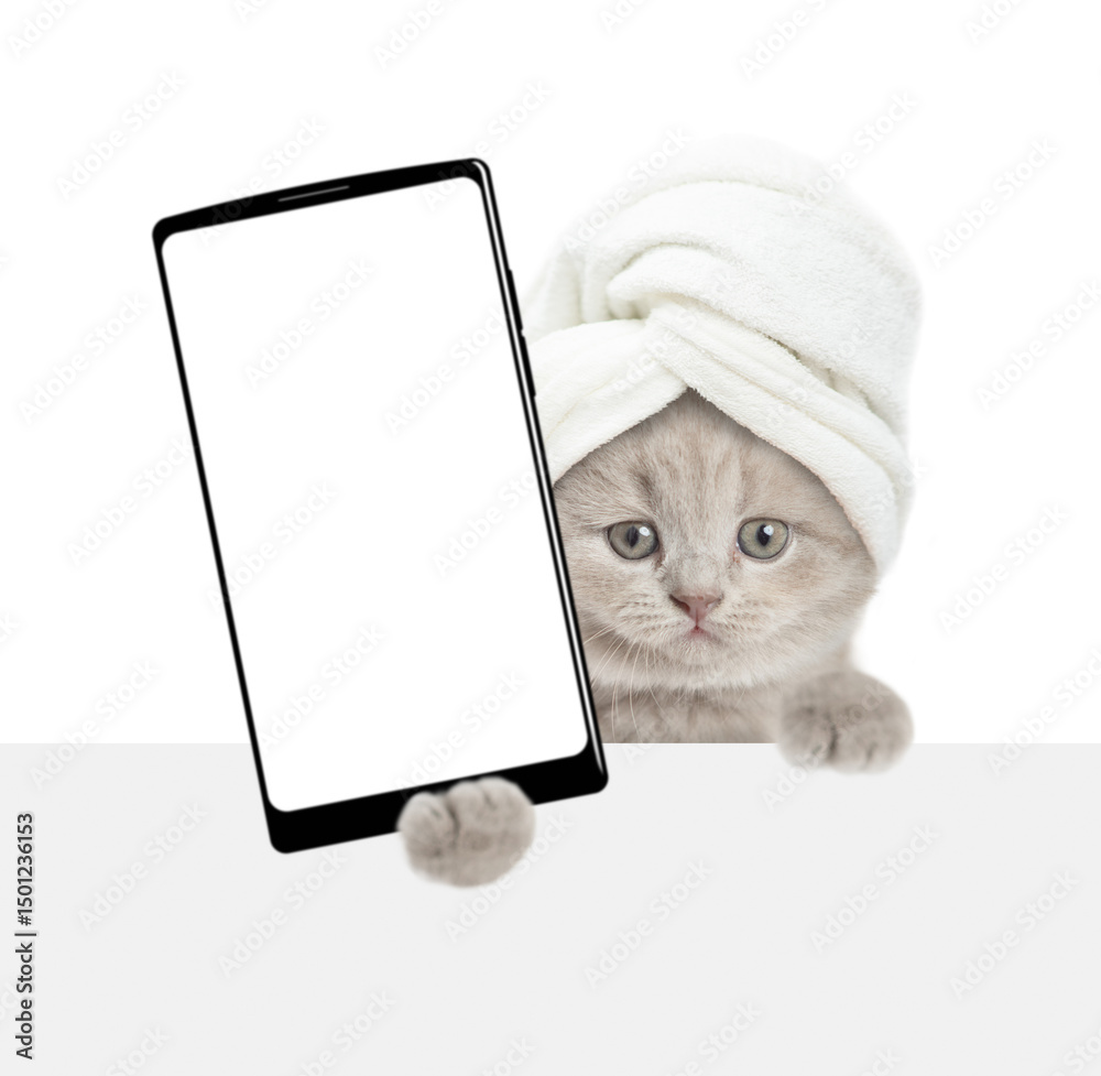 Leinwandbilder funny tiny kitten with towel on it head holds big smartphone with white blank screen in it paw above