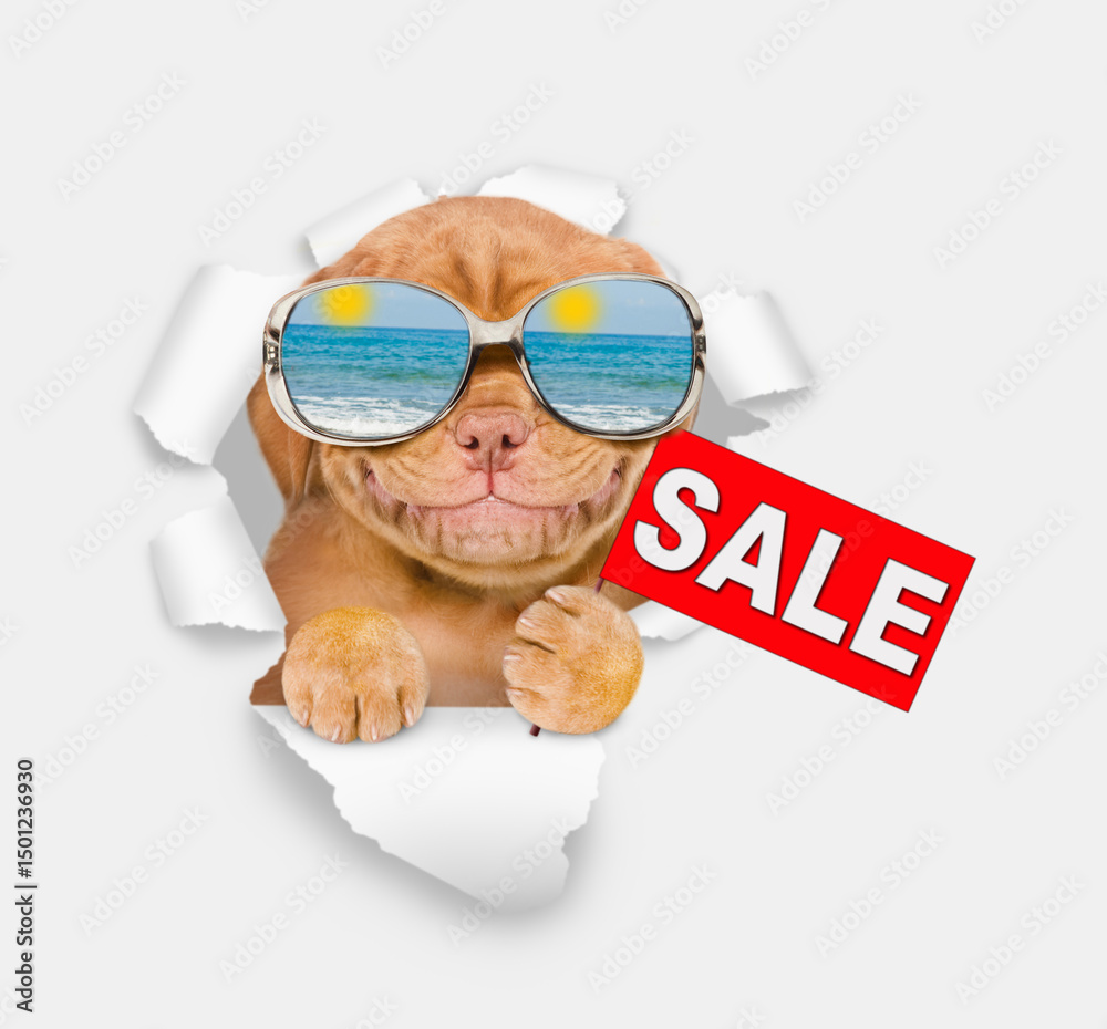 Aufkleber smiling mastif puppy wearing mirrored sunglasses looking through the hole in white paper and showing