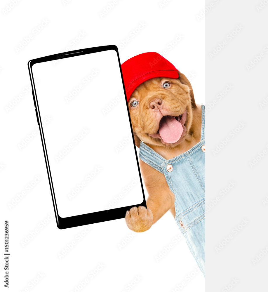 Aufkleber Happy Mastiff puppy wearing red cap and denim overalls with tool belt shows big smartphone with blank screen behind blank wihte banner. Empty space for text. Isolated on white background