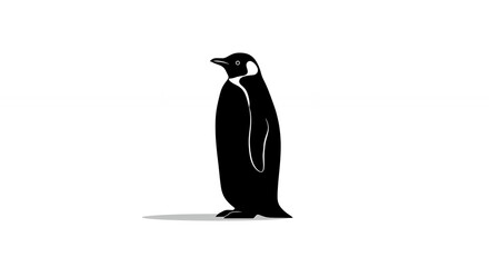 Obraz premium Penguin Black and White Silhouette