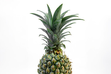 Fototapeta premium Close-up of the top part of a green pineapple showing sharp, spiky crown leaves and detailed skin texture. Isolated on white background, perfect for tropical fruit ads.