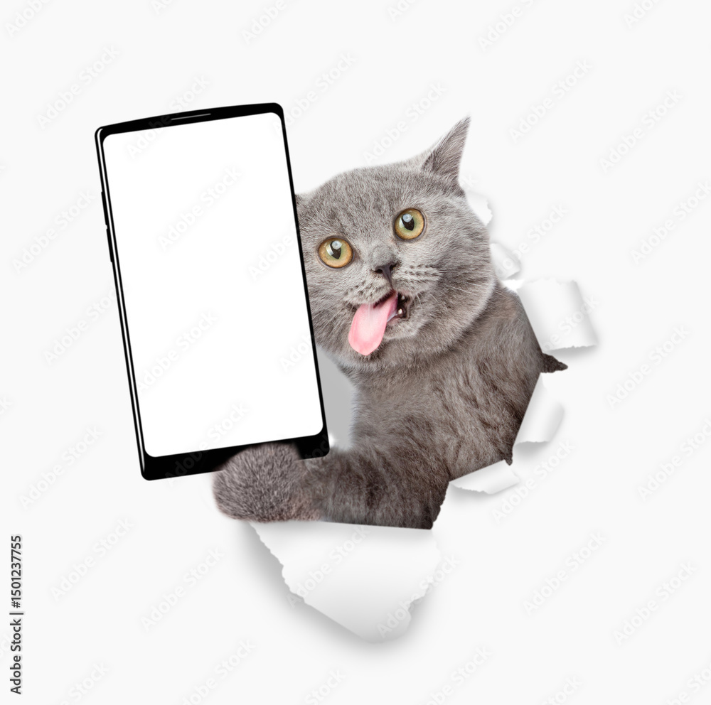 Aufkleber crazy cat with tongue out holding big smartphone with white blank screen and looking through torn wh