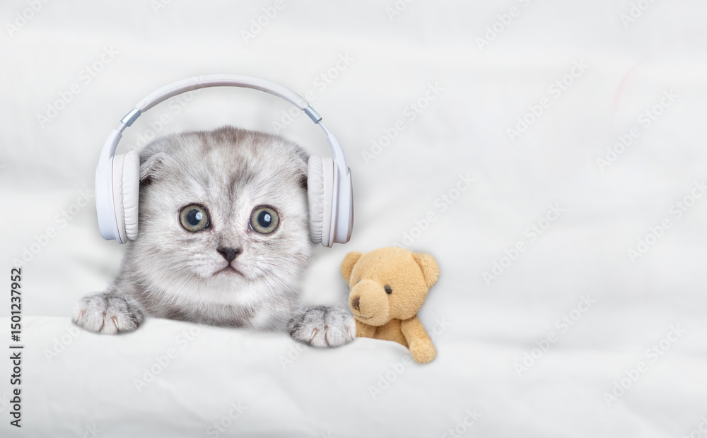 Aufkleber tiny kitten with headphones on it head listening music on a bed at home with toy bear. top down view