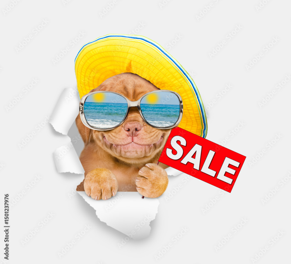 Aufkleber Smiling Mastif puppy wearing mirrored sunglasses and summer hat looking through the hole in white paper and showing signboard with labeled 