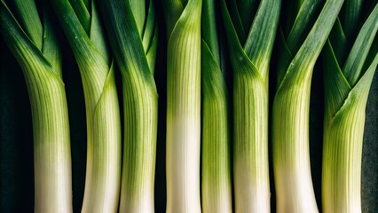 Fototapeta premium A fresh and vibrant row of leeks, with their distinctive green leaves and white stalks, standing upright against a dark, contrasting background