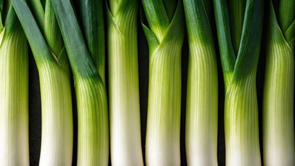 Obraz premium This close-up shot emphasizes the crisp texture and natural gradients of color within each leek, highlighting their freshness and quality