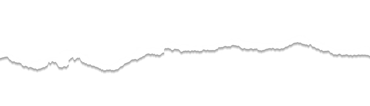 Ripped paper strips with rough torn edges