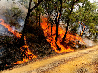 Climate change and the Australian black summer bushfires