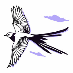 Elegant Black and White Bird in Flight, Vector Illustration