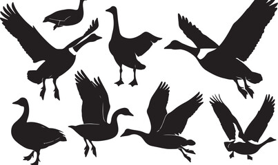 Obraz premium Monochrome Geese Silhouettes: Avian Art and Wildlife Illustration for Nature Graphics and Decorative Design