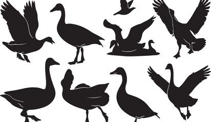 Silhouetted Birds in Flight: Black and White Waterfowl Geese and Ducks Illustrative Patterns for Wildlife Art and Digital Artwork