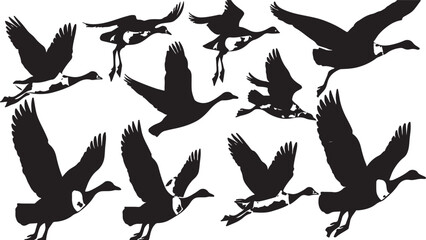 Fototapeta premium Graceful Bird Silhouette in Flight: Abstract Flock Vector Illustrating Nature's Artistic Pattern in Black and White