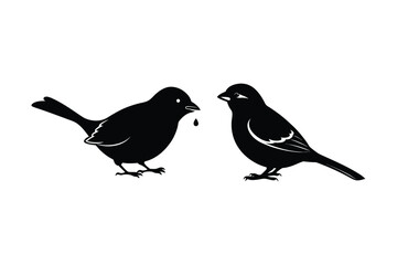 House sparrow silhouette vector bundle  illustration, House Sparrow Silhouette Vector Bundle  Black Bird Illustrations on White Background

