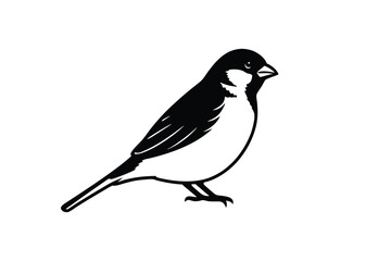 House sparrow silhouette vector bundle  illustration, House Sparrow Silhouette Vector Bundle  Black Bird Illustrations on White Background

