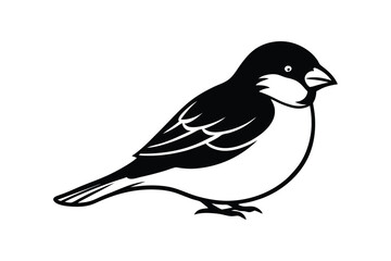 House sparrow silhouette vector bundle  illustration, House Sparrow Silhouette Vector Bundle  Black Bird Illustrations on White Background

